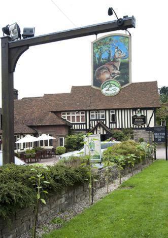 Roebuck By Greene King Inns Forest Row Eksteriør billede